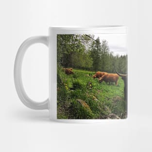 Scottish Highland Cattle Cows and Bull 2412 Mug